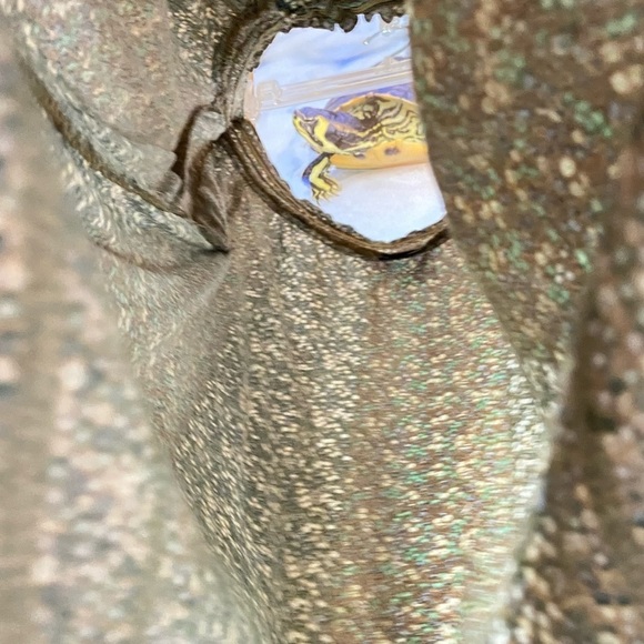 Faded glory sz-12/14, pheasant top- subtle colors, faux buttons, pleated bodice - Picture 13 of 16